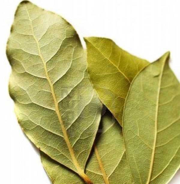 Laurel en hojas x 30gr